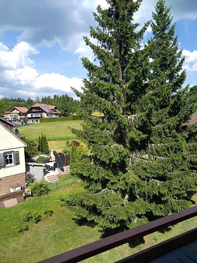 Ferienwohnung Rita Freudenstadt Eksteriør bilde